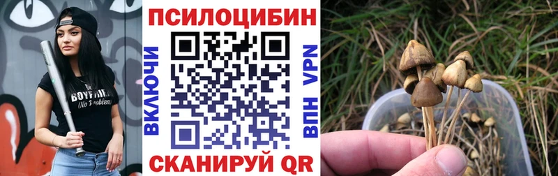 купить сайты Мамоново Галлюциногенные грибы мицелий
