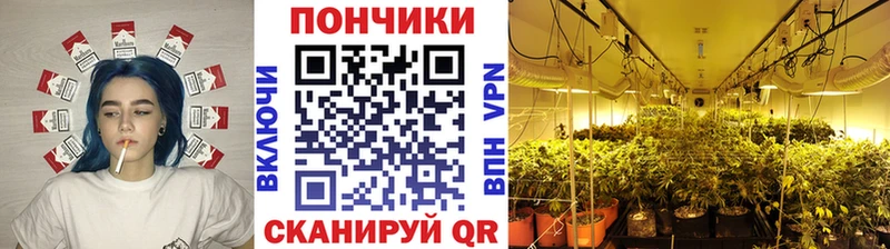Бошки Шишки LSD WEED  наркота  kraken сайт  Мамоново 